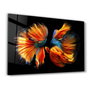 Wallity Pintura Decorativa de Vidrio Templado Multicolor 70 x 110 cm